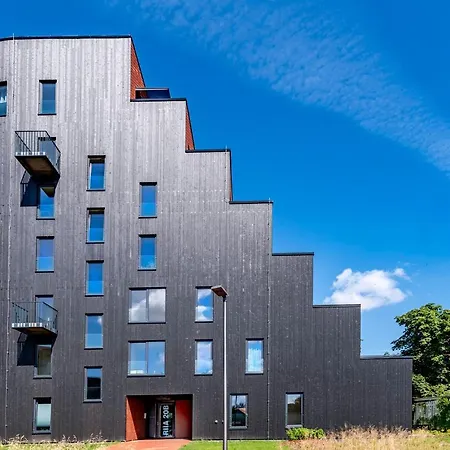 Artisa Riia Str 20b Luxury Penthouse Апартаменты *